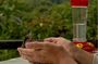 Middle of the World, Hummingbirds with Coffee Experience