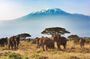 2 Days, 1 Night - Amboseli National Park Safari from Mombasa