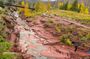 Explore Waterton National Park from Calgary private Premium Tour