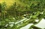 Bali Shore Excursion : Customize Private Full day Tours