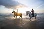 Guided Horse Riding and Sightseeing Beaches in Mahdia
