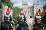 Windsor Castle Half Day Trip from London