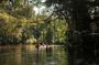4 Day Amazon Jungle Expedition Pacaya Samiria National Reserve