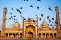 Explore Qutub Minar & Mehrauli Archaelogical Park with a Local Storyteller