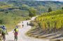 "Langhe del Barolo" Private E-bike Tour - Asphalt and Dirt Road