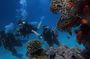 3 Day Mombasa Tour - City Tour, Watamu & Diani