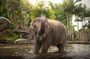 Australia Zoo Private Group Tour from Brisbane