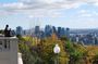 Small-Group Sightseeing Tour of Montreal