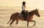 Bali Horse Riding, Waterfall, Rice Terrace, Lunch - All Inclusive