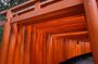 Kyoto Walking Tour at Fushimi Inari Shrine and Tofukuji Temple