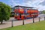 Darwin Shore Excursion: Hop-on Hop-off Bus Tour