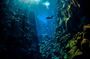 Dive the Divide: Silfra Fissure Scuba Tour | Reykjavik Pickup