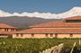 Mendoza : Discover the city and visit 2 Wineries with Tasting