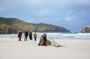 Otago Peninsula Wildlife Tour & Cruise