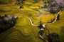 Sapa Motorbike and Jungle Trek to Queen Bee Waterfall