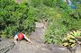 Sugarloaf Mountain Adventure