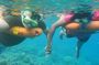 Key West Combo: Hop On Hop Off Afternoon Snorkeling