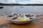 Sonoma Coast Tasting Tour: Cheese, Honey, Oysters, Wine and Oils