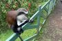 Chocolate, Waterfall, spices and Nature tours!