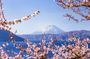 Sapporo to Noboribetsu & Otaru Full-Day Sightseeing Tour
