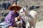 Full Day Colca Canyon Tour