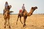 Pushkar Day Trip from Jaipur – Private Car, Safari, Guide & Lunch