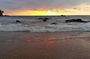 Shore Excursion Colombo Port to Mount Lavinia Beach & Colombo city For 7 -12 Pax