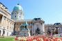 Private Buda Castle Walk with Entry to Matthias Church