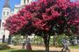 French Quarter Historical Sights and Stories Walking Tour