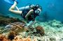 Snorkeling and Diving in Cham Islands from Da Nang or Hoi An