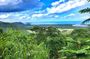 Private Cape Tribulation and Mossman Gorge Day Tour
