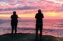 Cape Town Peninsula Day Tour ( Cape Point/Penguins/Wine Tasting)