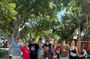 Walking Tour in the City of Mérida