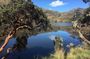 Cajas Unveiled: A Half-Day Escape from Cuenca