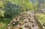Montego Bay: Bamboo Rafting with Negril Beach and Rick's Upgrade
