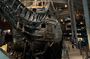Vasa Museum Guided Tour, Including Ticket & Guide