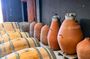 Tarragona Private Escape: Ancient Ruins, Olive Oil & Wine Tasting