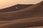 Budget-Friendly Dubai Evening Desert Safari Tour