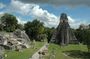 Explore Tikal Maya Ruins from San Ignacio with sit down lunch