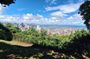 Walking the Cerro Ancón: Nature and Unique Panoramics