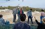 Democracy Experiential Workshop Activity on Pnyx hill, Athens