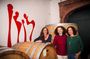Castle Winery Tour & Tasting near Lake Maggiore