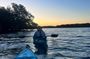 Dolphin Sanctuary Kayak Tours Twilight Mangrove Kayak