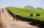 8 Days Africa Biking Tour
