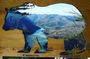 National park Tara - private day tour