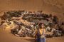 Excursion to Paracas: Huacachina and the Nazca Lines During 2D/1N from Lima