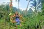 Ubud Tour : Jungle Swing - Campuhan Ridge Walk - Tegenungan Waterfall