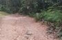 St Kitts Rainforest and Beach Excursion of Nature and Shore