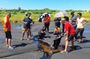 Trinidad Treasures Pitch Lake Temple and Scarlet Ibis