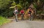 Rainforest Cycling Adventure in St. Lucia